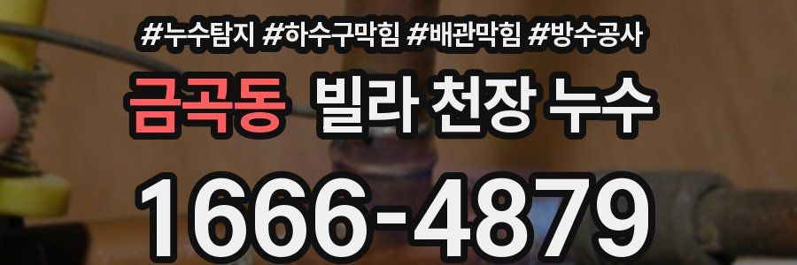 금곡동 빌라 천장 누수