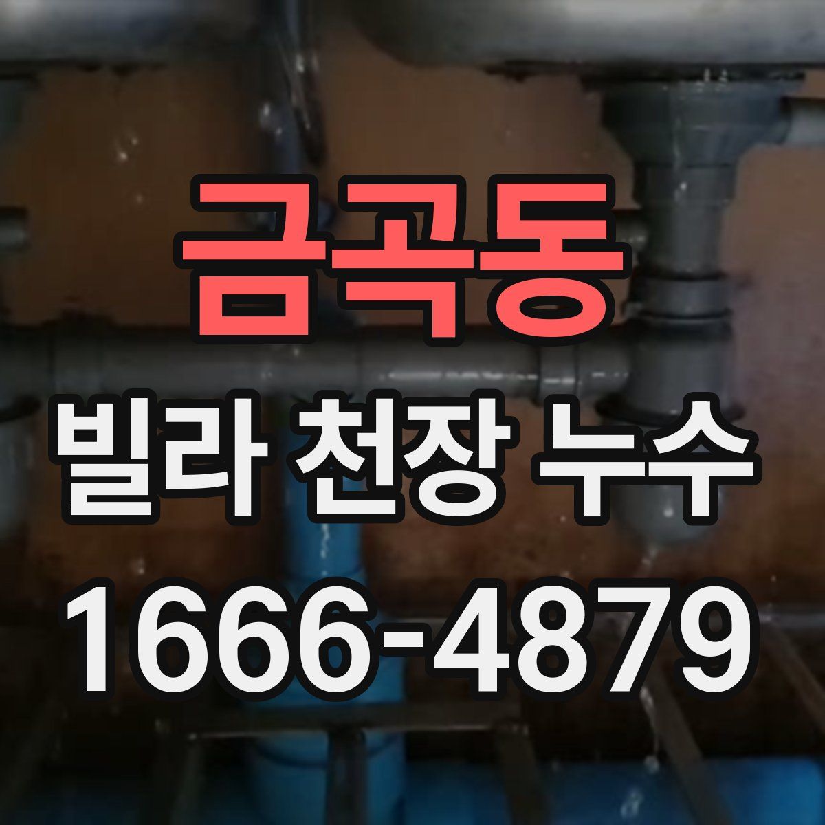 금곡동 빌라 천장 누수