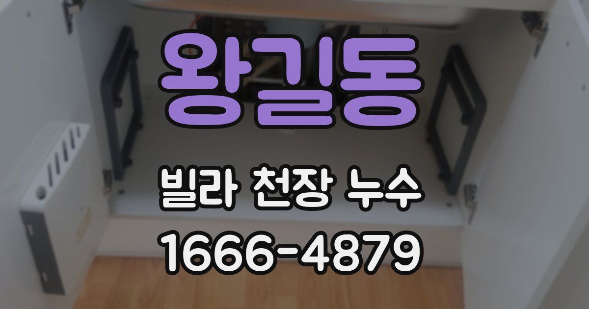왕길동 빌라 천장 누수
