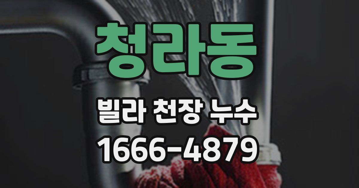 청라동 빌라 천장 누수