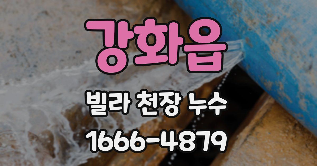 강화읍 빌라 천장 누수