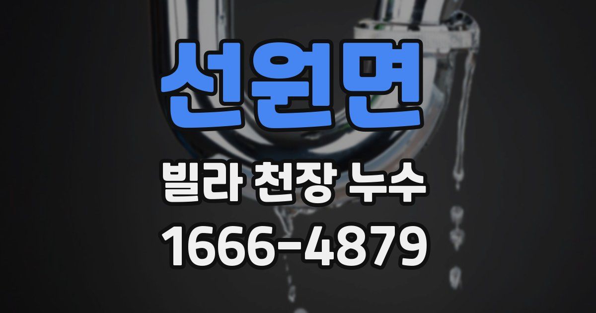 선원면 빌라 천장 누수
