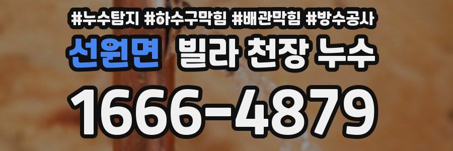 선원면 빌라 천장 누수