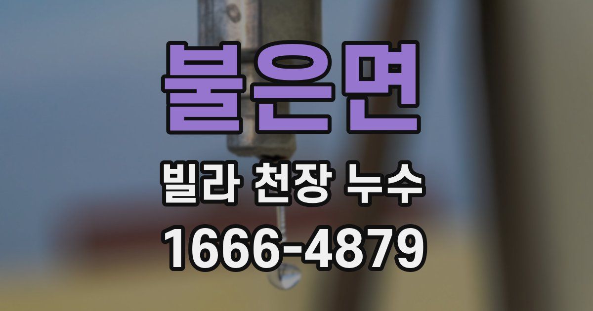 불은면 빌라 천장 누수