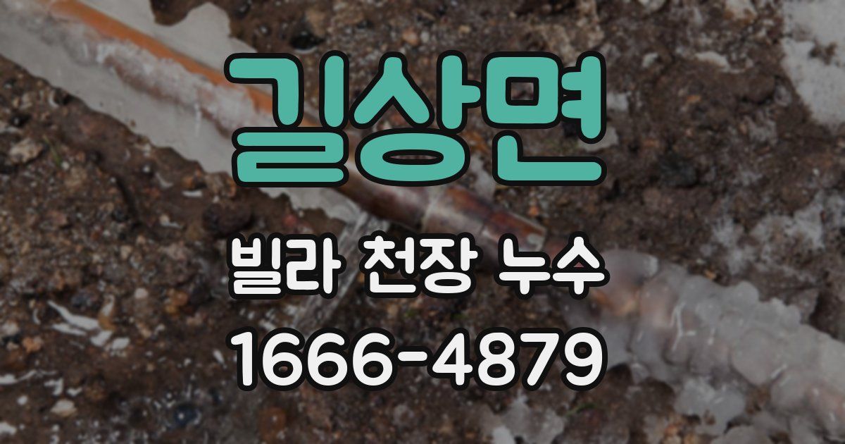 길상면 빌라 천장 누수