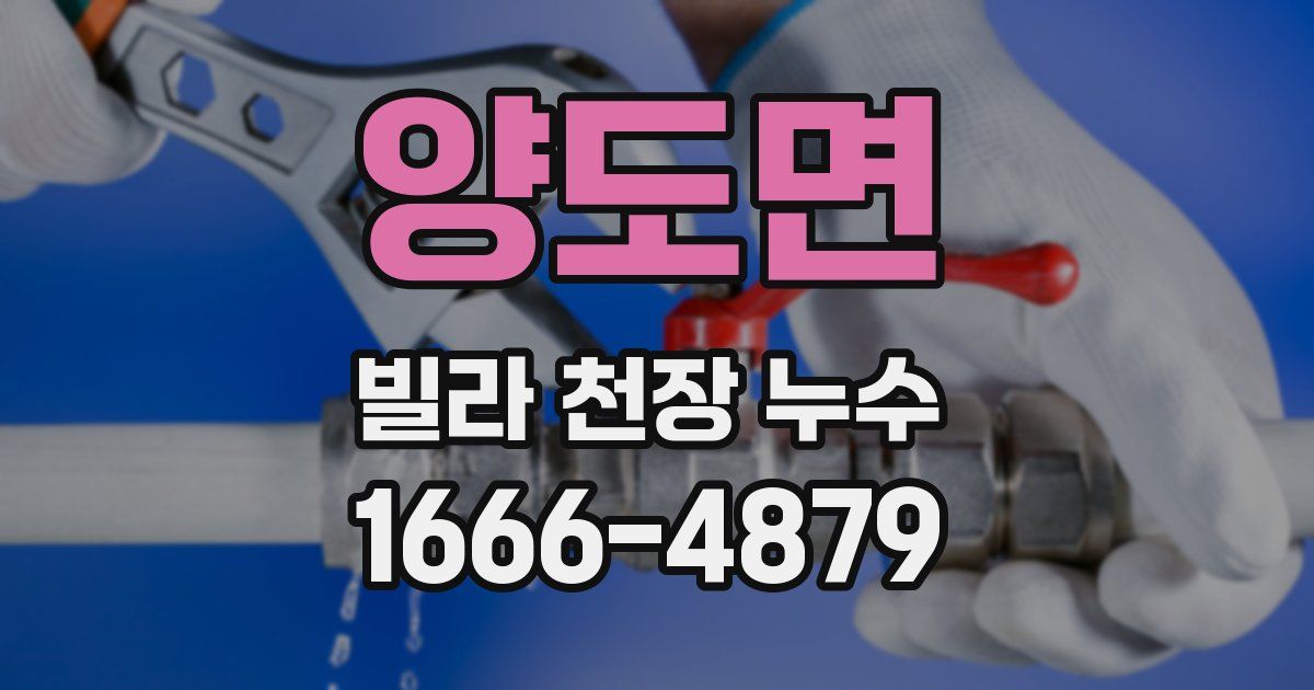 양도면 빌라 천장 누수