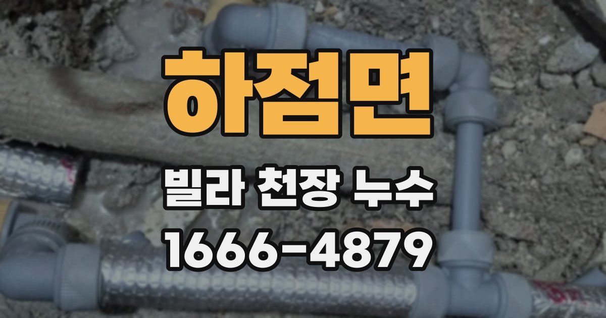 하점면 빌라 천장 누수