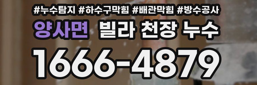 양사면 빌라 천장 누수