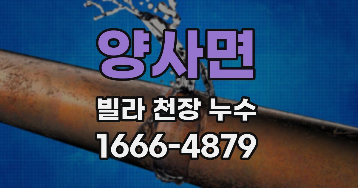 양사면 빌라 천장 누수