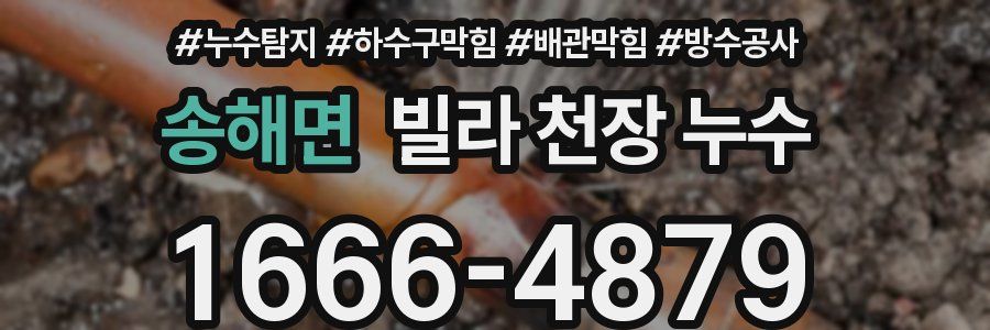 송해면 빌라 천장 누수