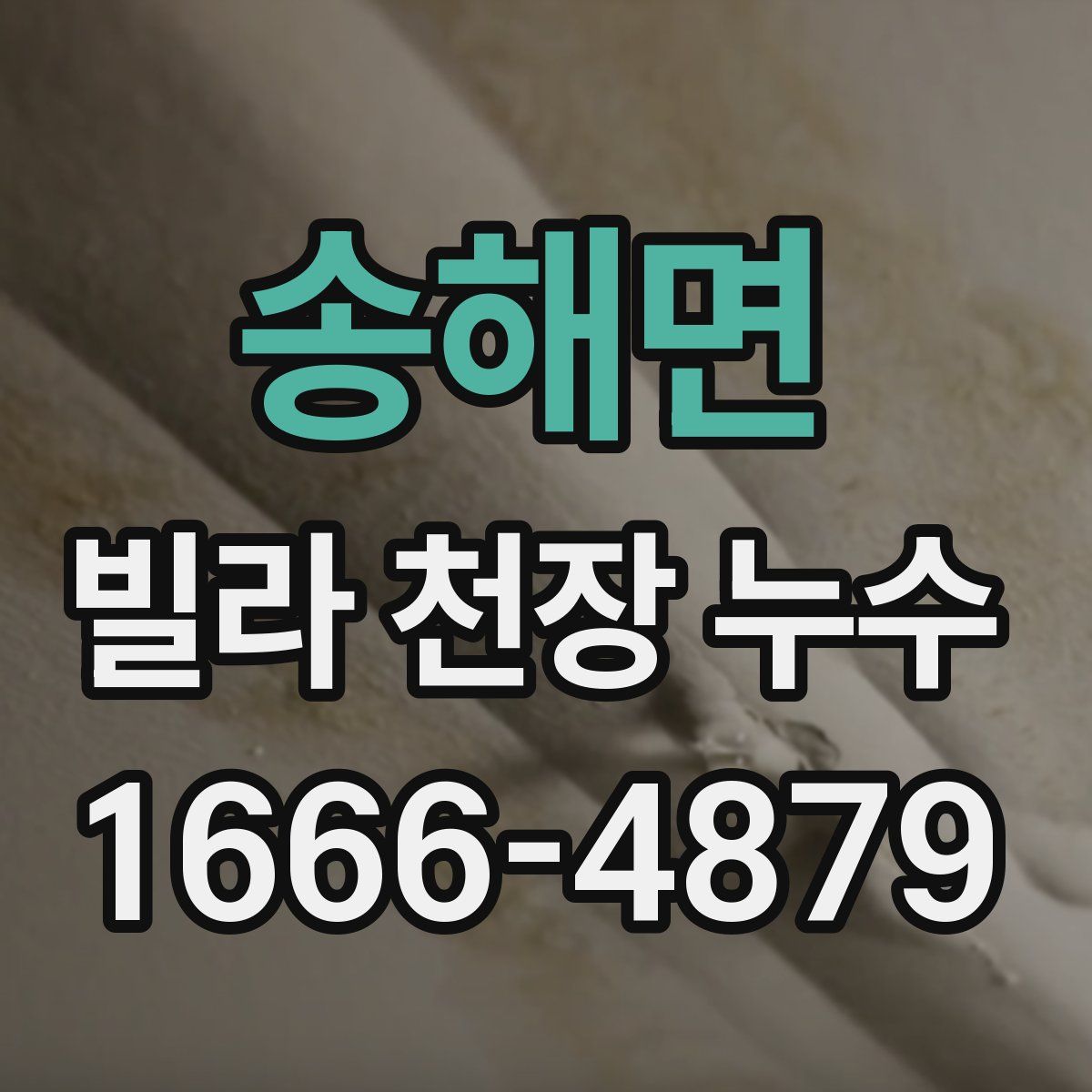 송해면 빌라 천장 누수