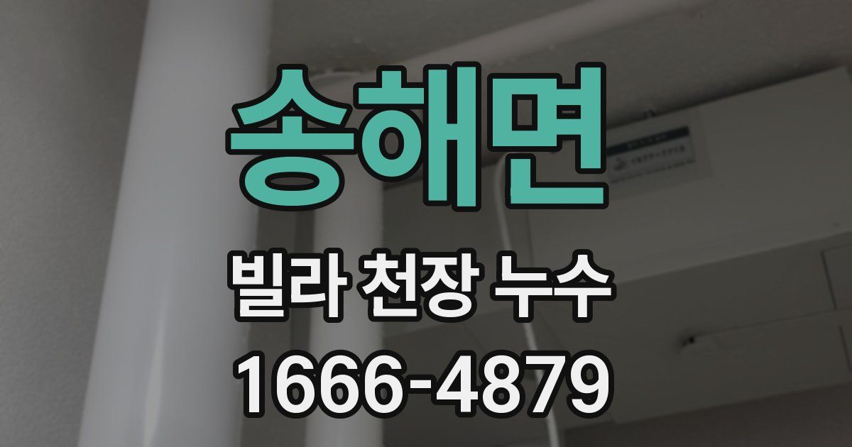 송해면 빌라 천장 누수