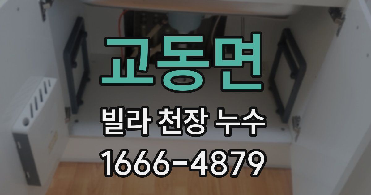 교동면 빌라 천장 누수