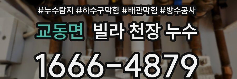 교동면 빌라 천장 누수