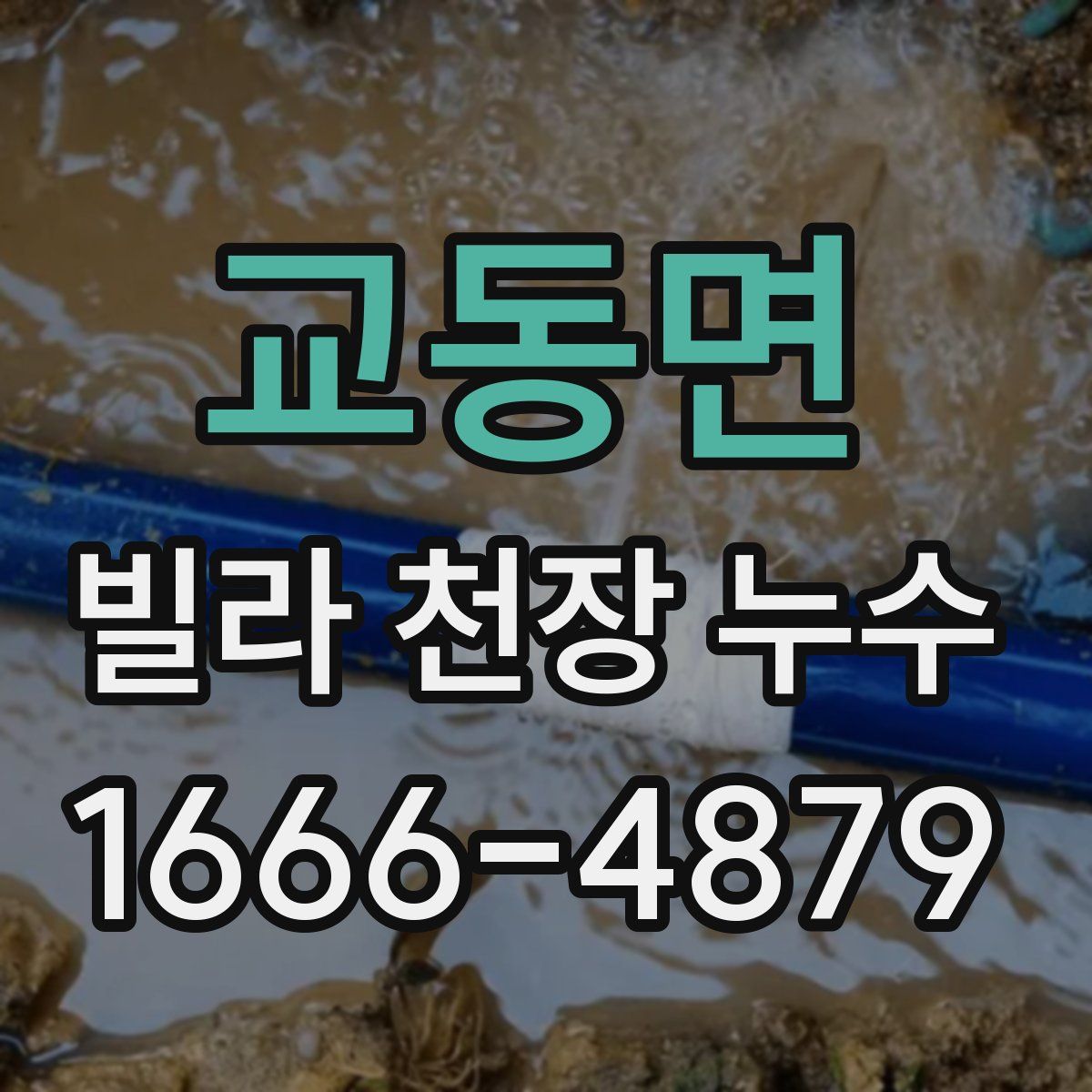 교동면 빌라 천장 누수