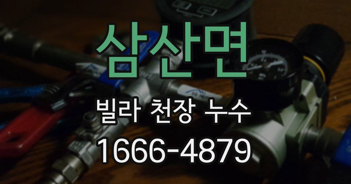 삼산면 빌라 천장 누수