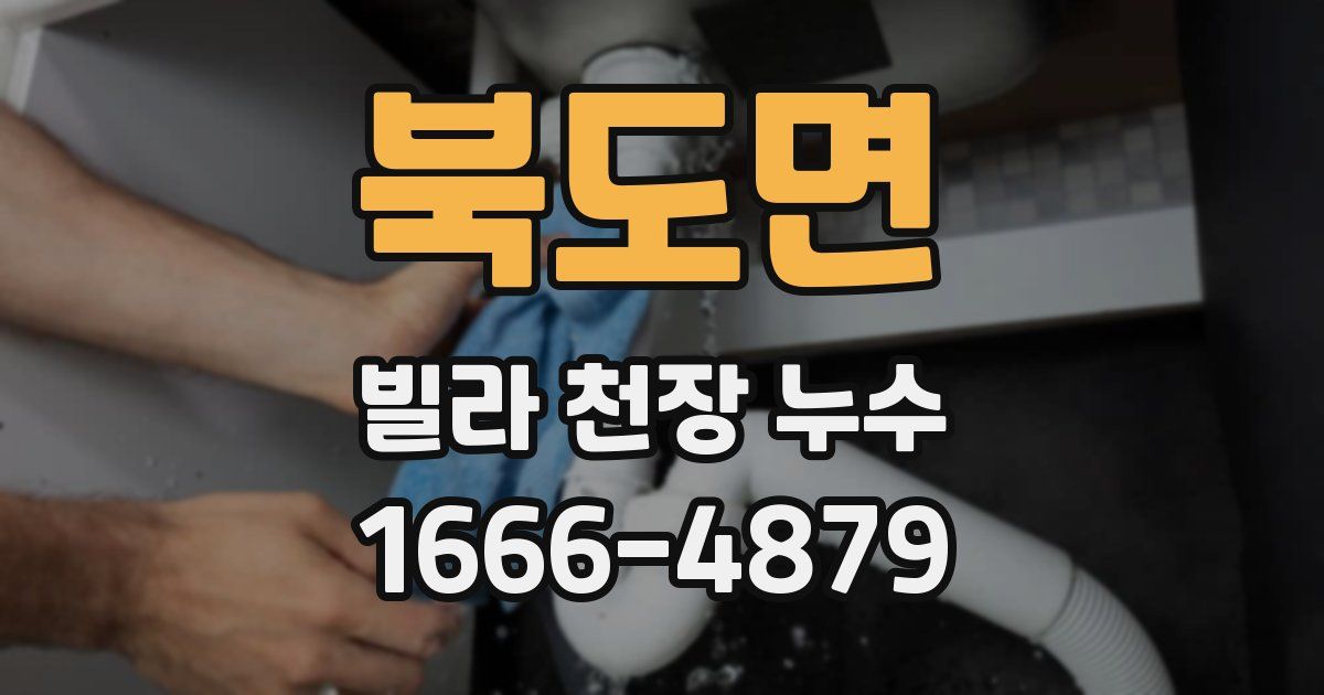 북도면 빌라 천장 누수