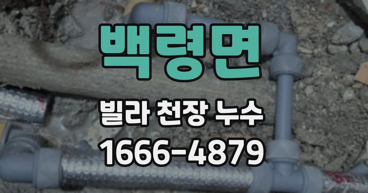 백령면 빌라 천장 누수