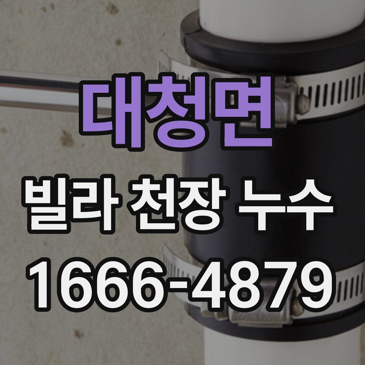 대청면 빌라 천장 누수