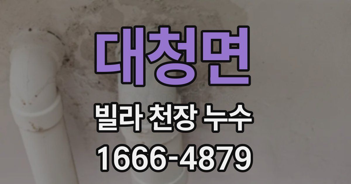 대청면 빌라 천장 누수