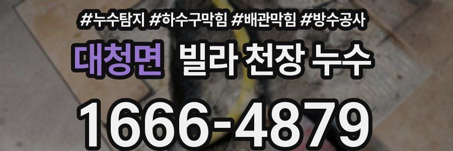 대청면 빌라 천장 누수