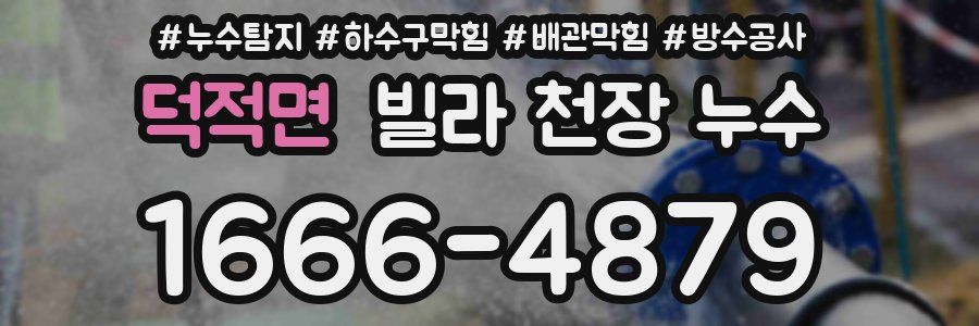 덕적면 빌라 천장 누수