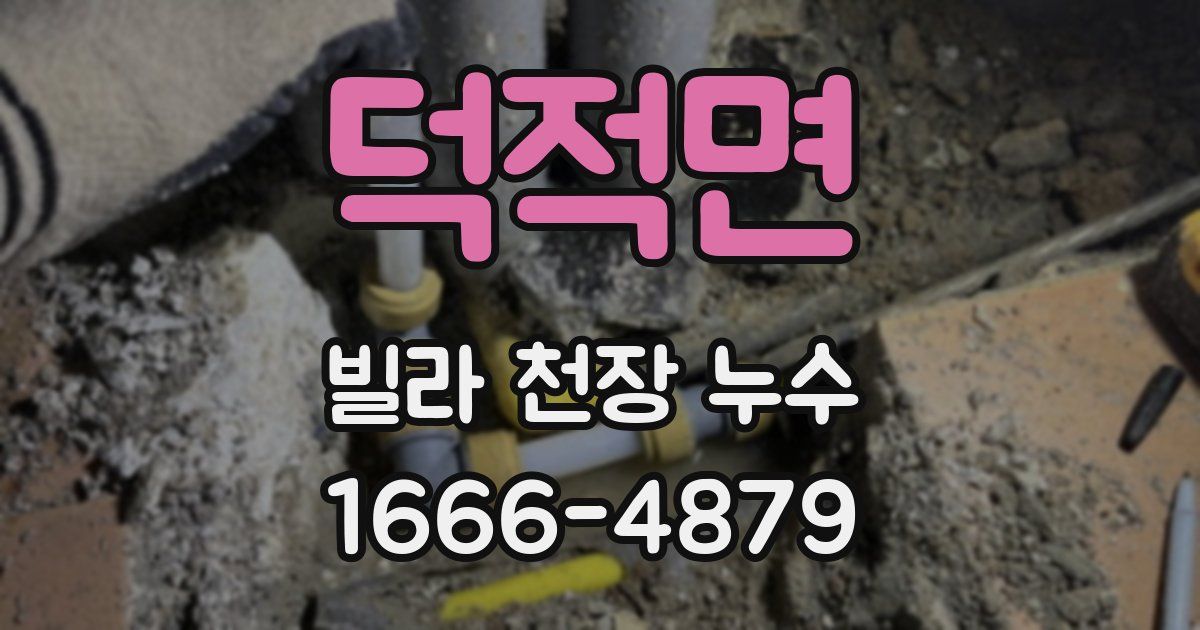 덕적면 빌라 천장 누수