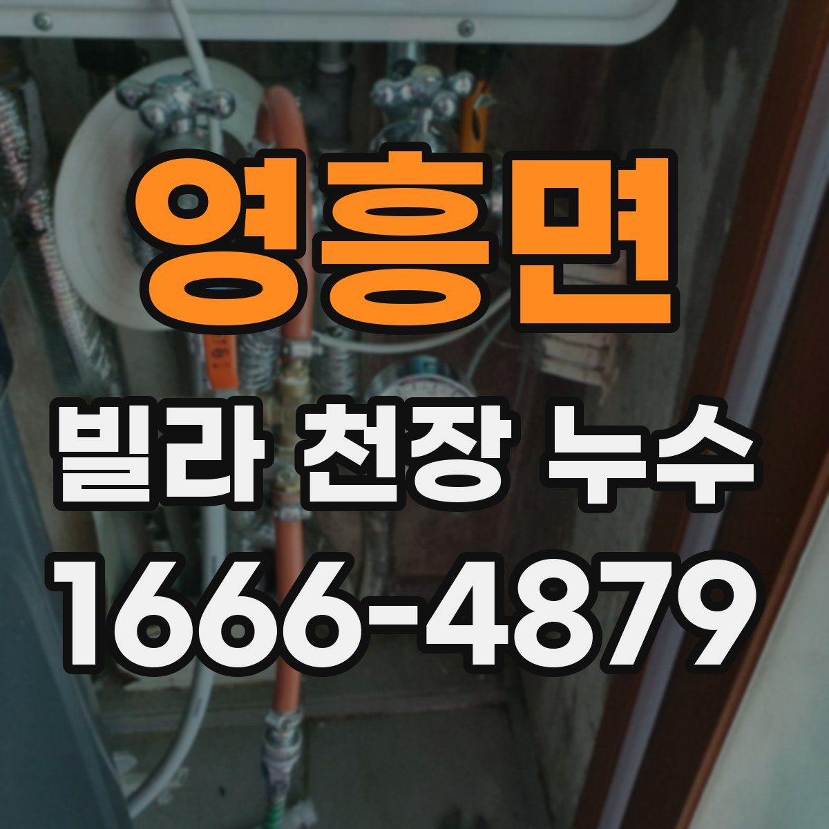 영흥면 빌라 천장 누수