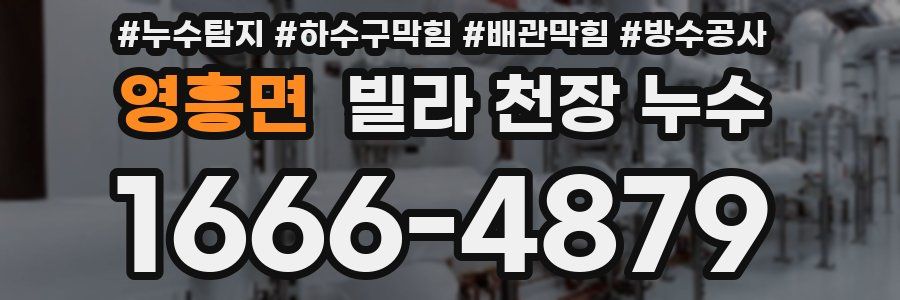영흥면 빌라 천장 누수
