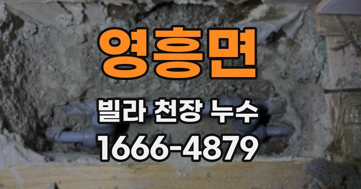 영흥면 빌라 천장 누수