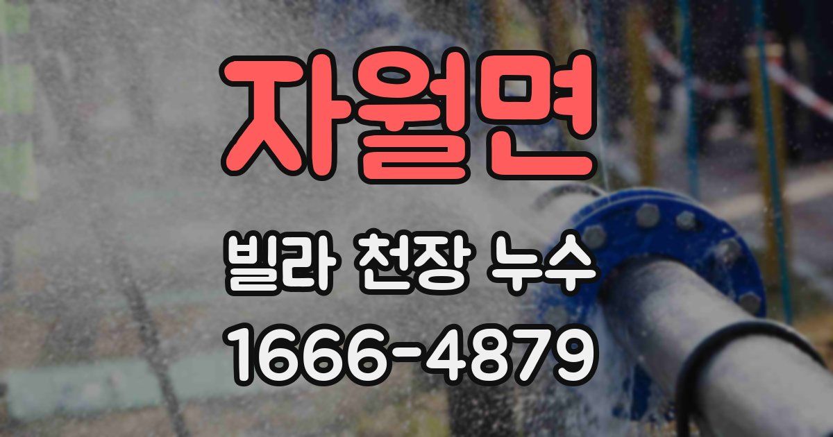 자월면 빌라 천장 누수