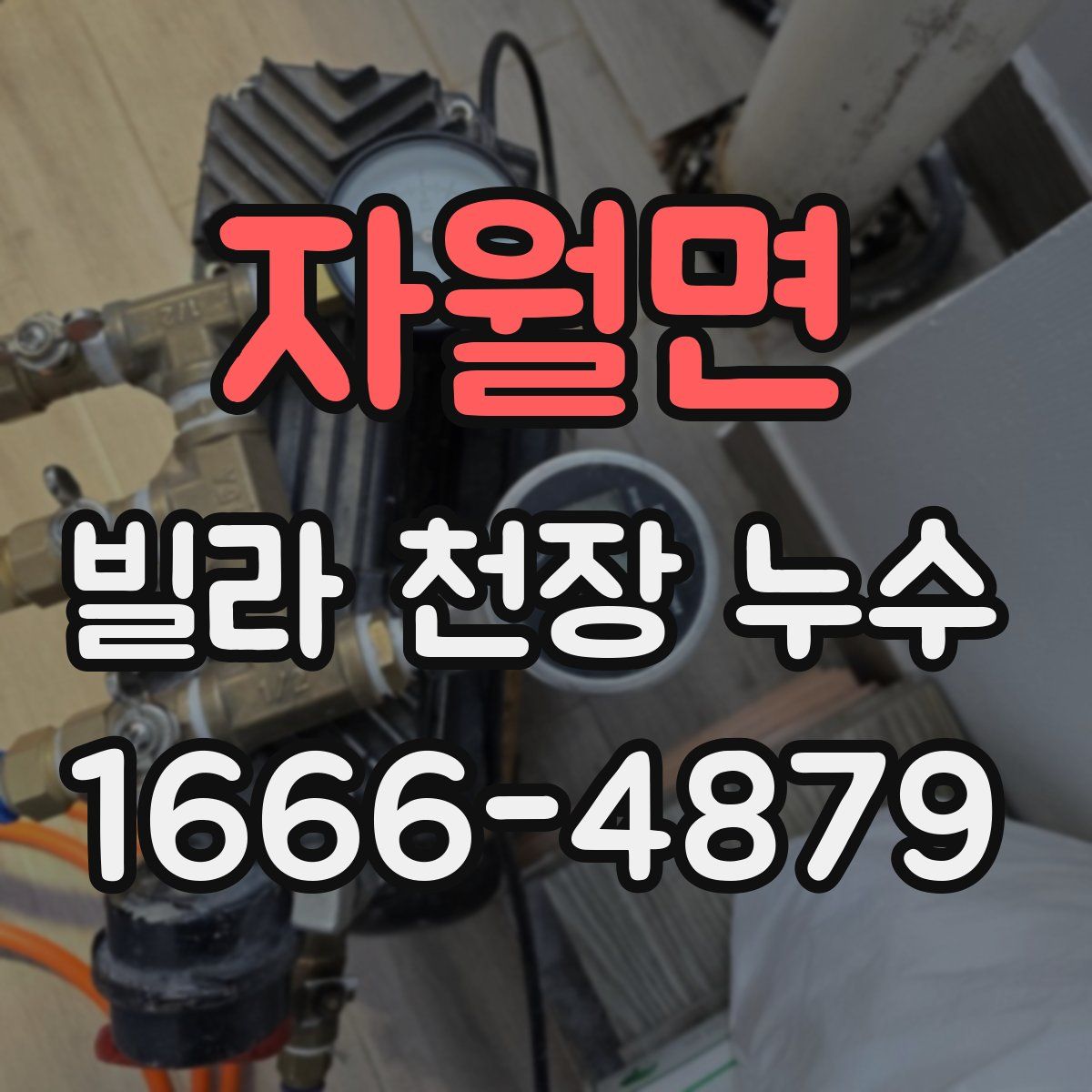 자월면 빌라 천장 누수