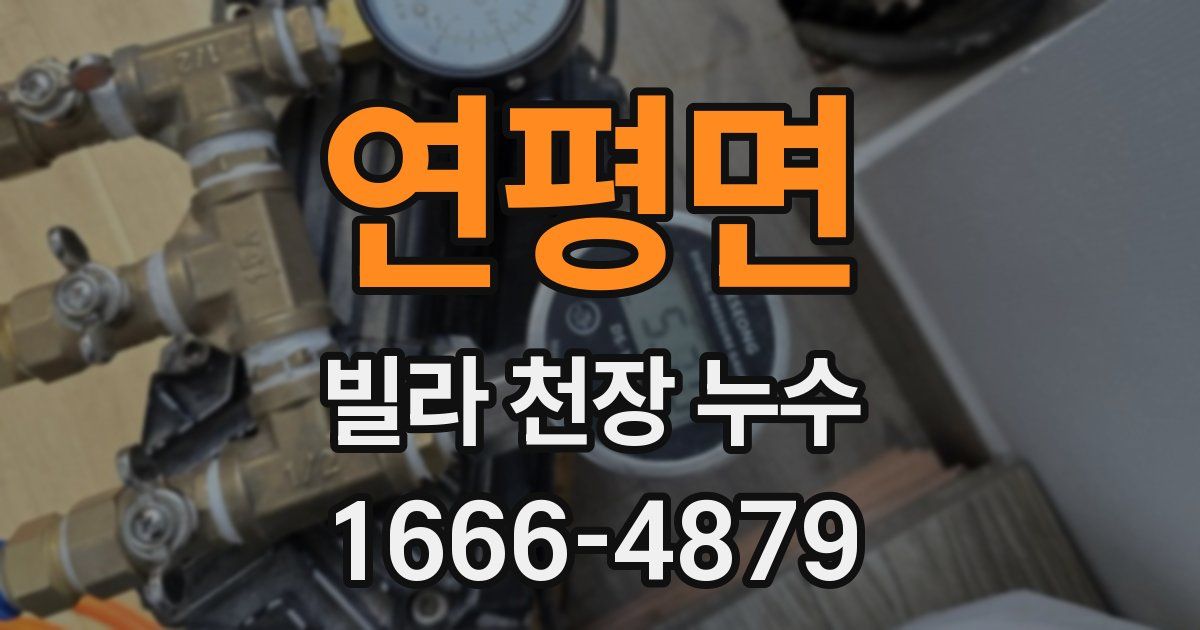 연평면 빌라 천장 누수