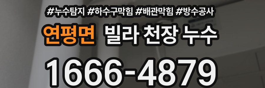연평면 빌라 천장 누수