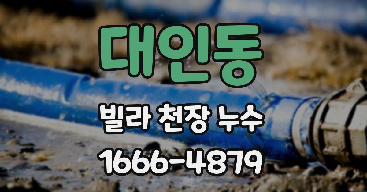 대인동 빌라 천장 누수