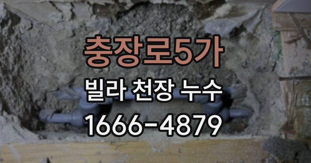 충장로5가 빌라 천장 누수