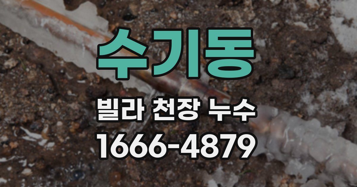 수기동 빌라 천장 누수
