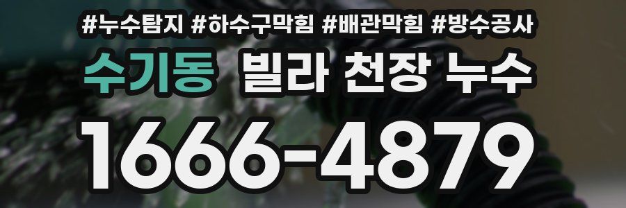 수기동 빌라 천장 누수