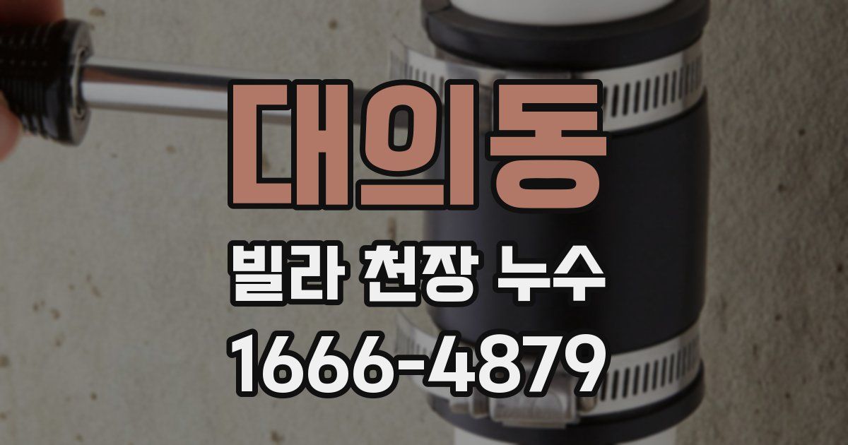 대의동 빌라 천장 누수
