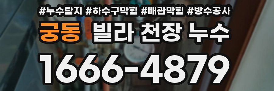 궁동 빌라 천장 누수