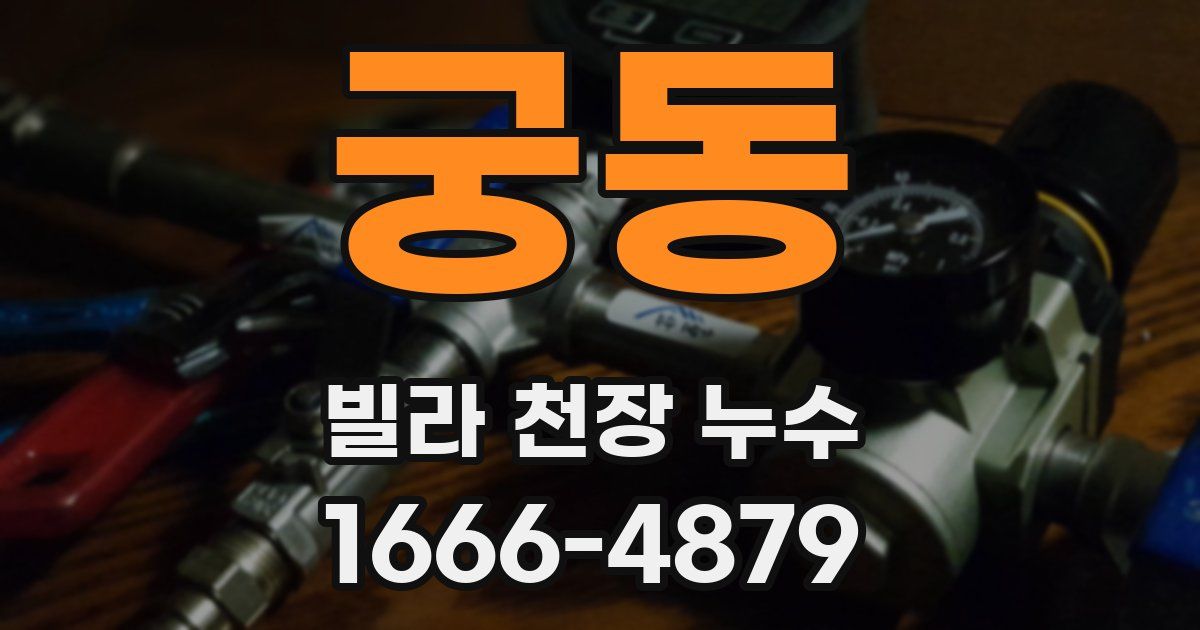 궁동 빌라 천장 누수