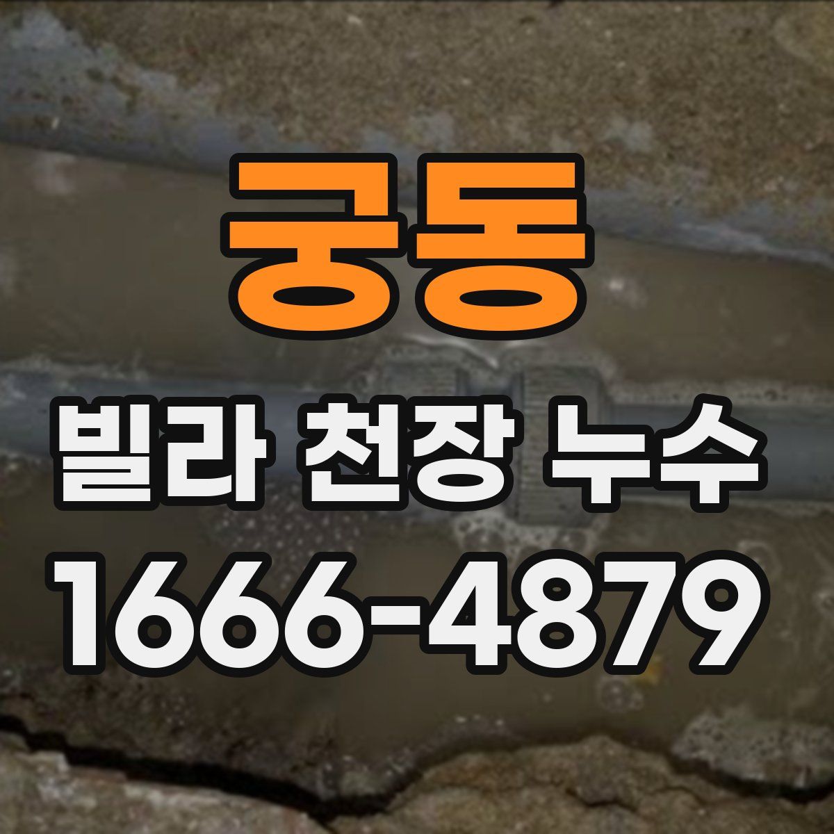 궁동 빌라 천장 누수