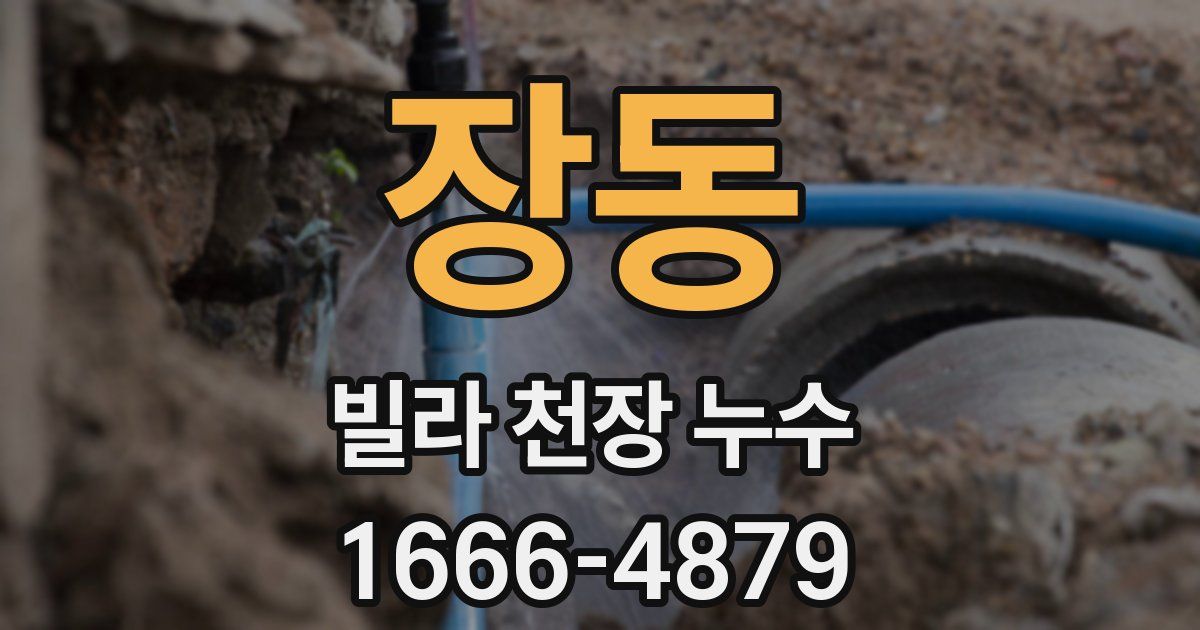 장동 빌라 천장 누수