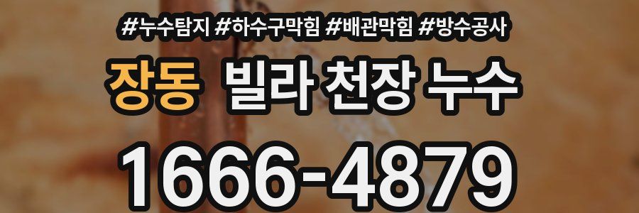 장동 빌라 천장 누수