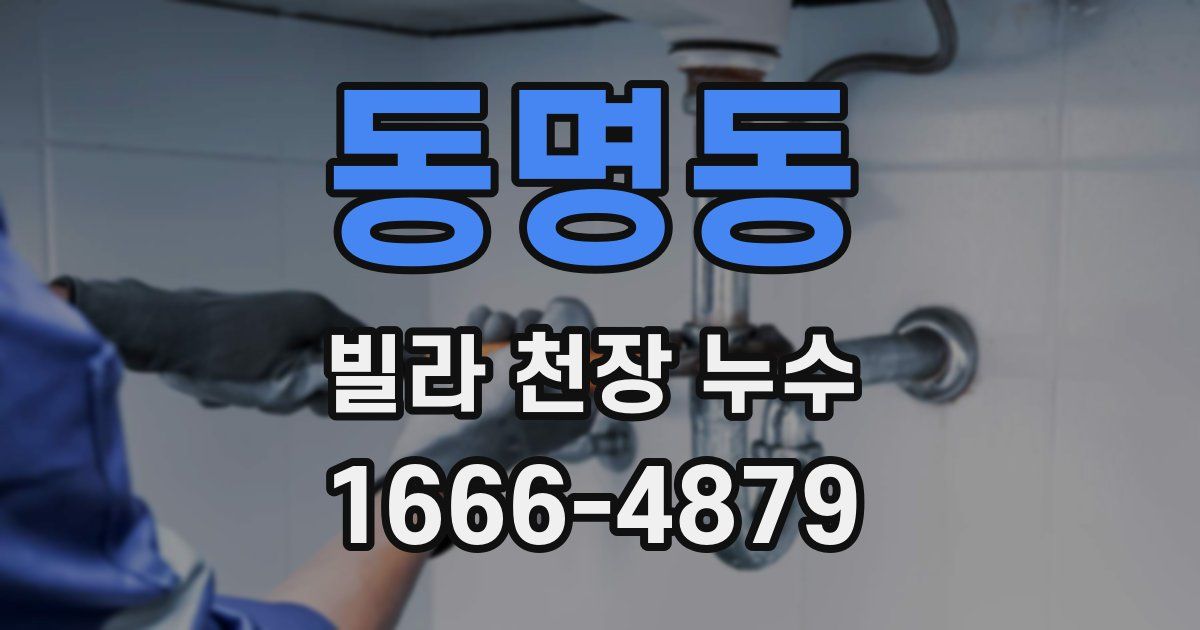 동명동 빌라 천장 누수