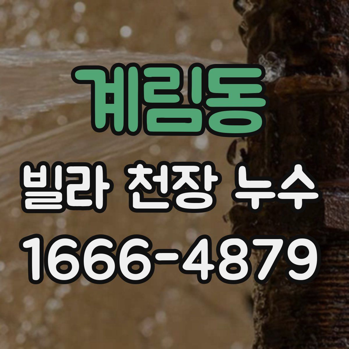 계림동 빌라 천장 누수