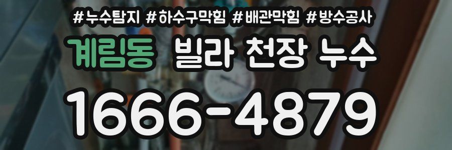 계림동 빌라 천장 누수