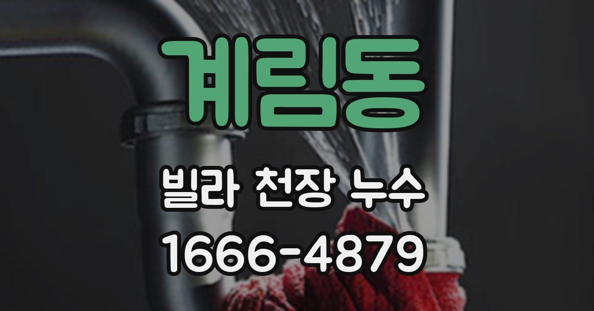 계림동 빌라 천장 누수