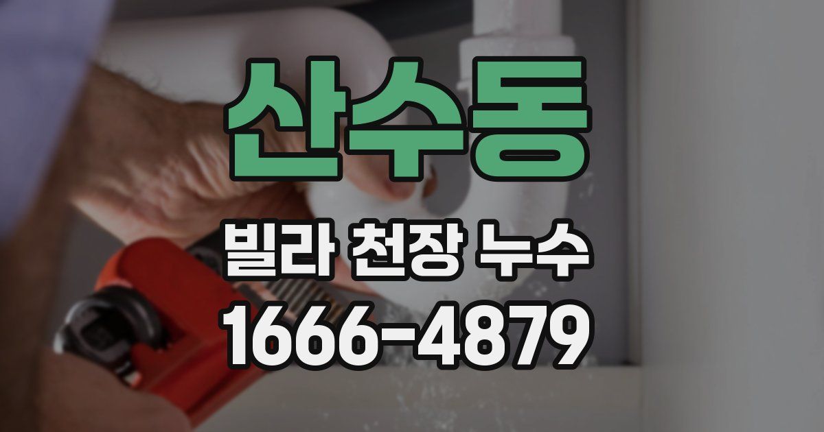 산수동 빌라 천장 누수