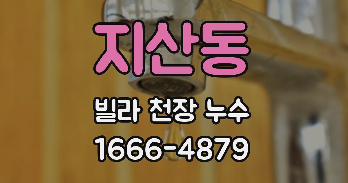 지산동 빌라 천장 누수